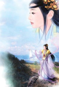 極品小醫仙